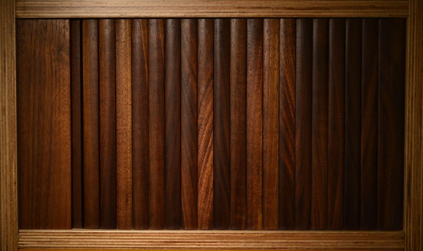 Tambour door